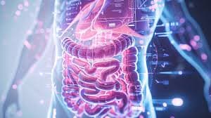 The Connection Between Gut Health and Overall Wellness